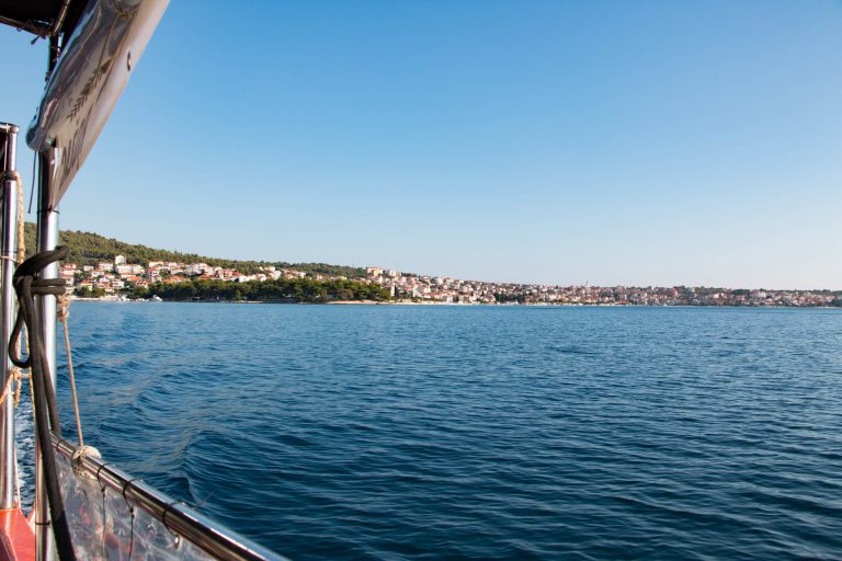 Dalmatians to Dalmatia